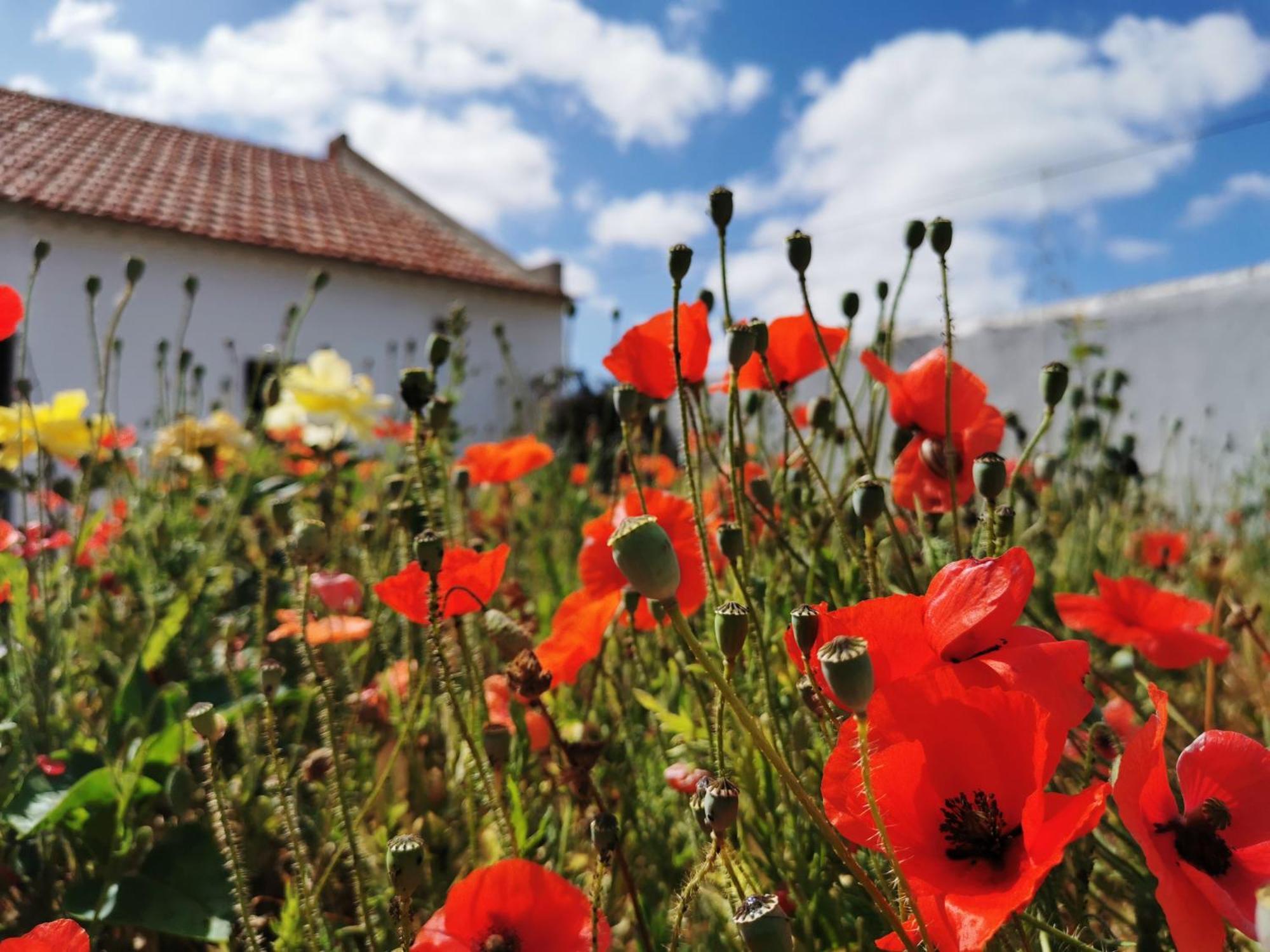 Al Mar Guesthouse Сан-Луиш Экстерьер фото
